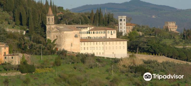 欧亚希纽曼酒店(Hotel Oasi Neumann)图片