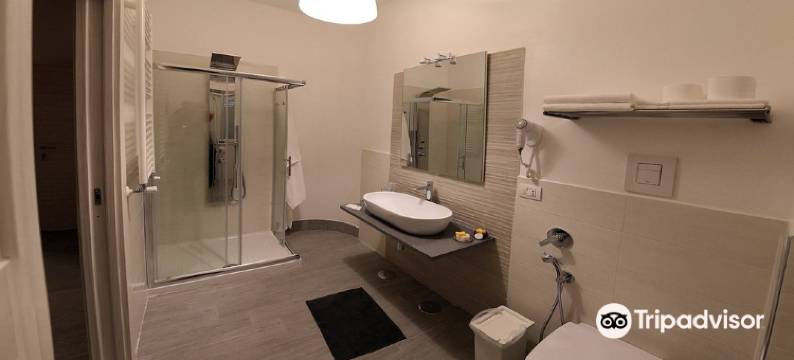 兄弟民宿佛莫罗豪斯套房酒店(B&B Brothers Suite Vomero)图片