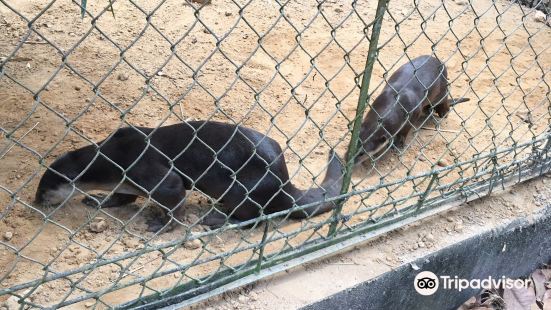 吴哥生物多样性保护中心