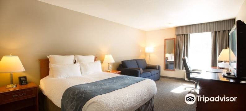 诺玛德套房酒店(Nomad Hotel & Suites)图片