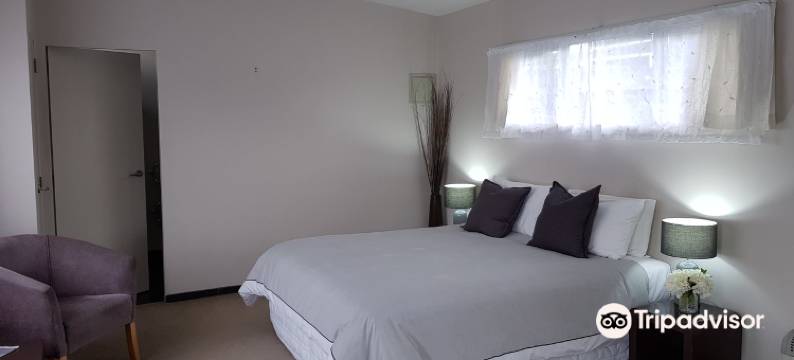 皮普努伊汽车旅馆(Pipinui Motel)图片