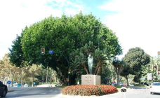 Monumento a Canovas del Castillo-马拉加