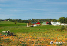 Ressler Mill Foundation景点图片