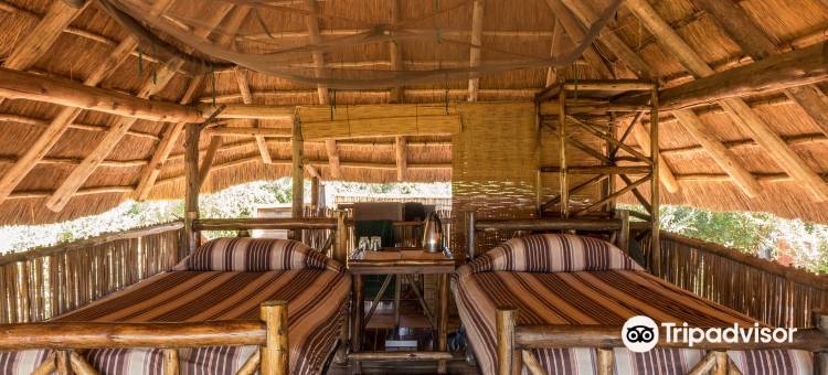 Rhino Safari Camp图片