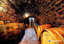 Arvay Family Winery景点图片