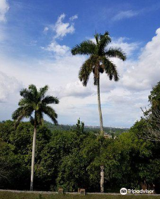 海明威故居-哈瓦那