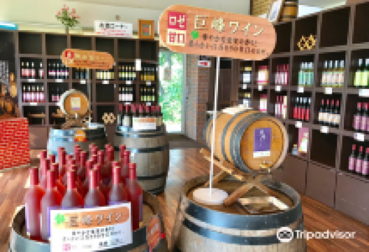 Chateraise Belleforet Winery景点图片