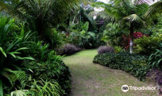 Rainbow Botanic Gardens-Tamate