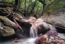 Maruo Nature Sightseeing Path景点图片