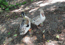 大神ファーム-日出町