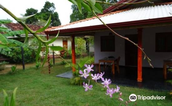 马拉科里亚茉莉花民宿(Marakolliya Jasmine Homestay)图片