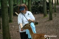 Thuringian Zoo Park, Erfurt-埃尔福特