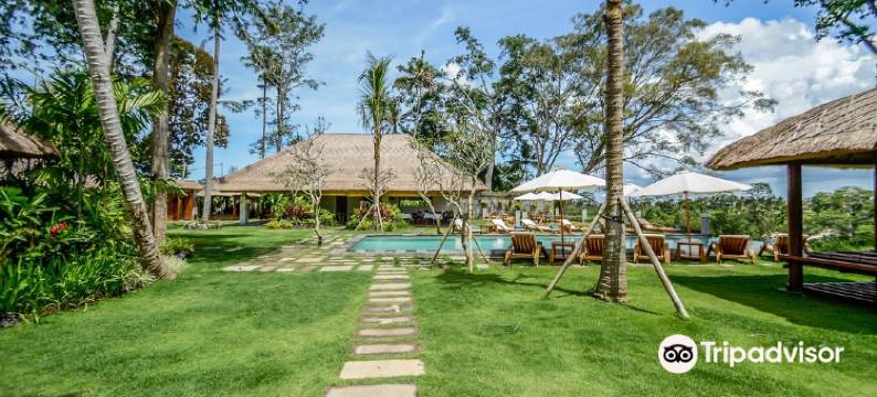 潘多拉酒店(The Pandora Hotel)图片