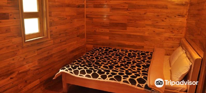 塔旺生态民宿(Tavan Ecologic Homestay)图片