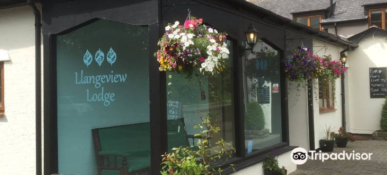 兰格维尤小屋(Llangeview Lodge)图片