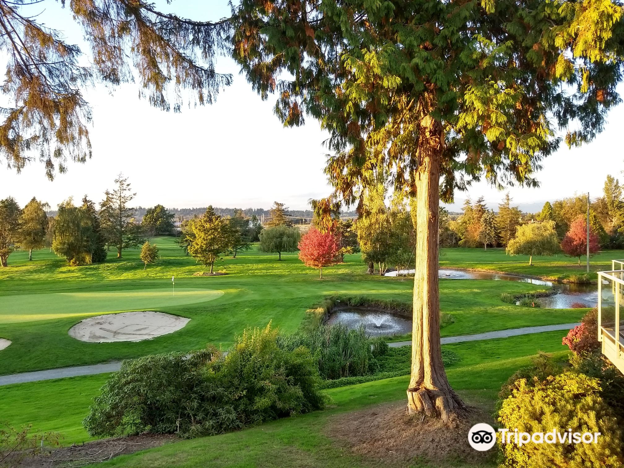 Nico-Wynd Golf Club餐厅图片