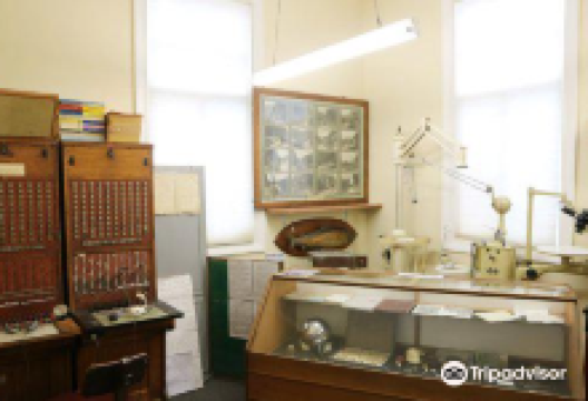 Murchison Museum景点图片