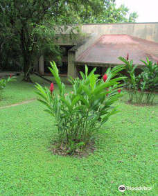Palenque Site Museum "Alberto Ruz Lhuillier"-帕伦克