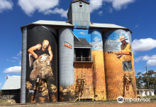 Weethalle Silo Art by Heesco Khosnaran景点图片