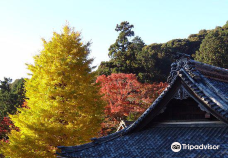 Fumon-ji Temple-丰桥市