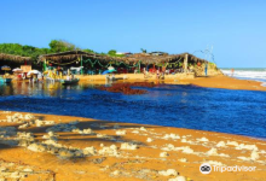 Parque Estadual de Itaunas景点图片