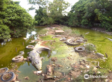 Teritip Crocodile Farm-East Balikpapan