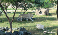 迪拜野生动物园-迪拜