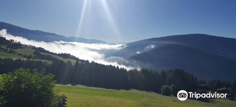 施费里格旅馆(Pension Schifferegger)图片