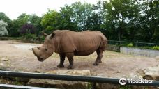 Thuringian Zoo Park, Erfurt-埃尔福特