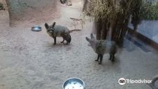 Thuringian Zoo Park, Erfurt-埃尔福特