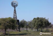 Dow Wetlands Wildlife Habitat Preserve景点图片