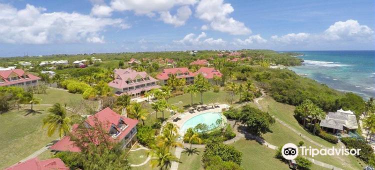 塔玛林皮埃尔假日高级住宅酒店(Résidence Pierre & Vacances Premium les Tamarins)图片