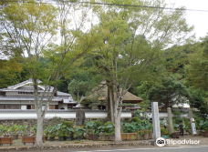 Tashinji Temple-丹波市