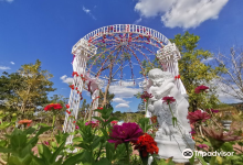 Viva Foresta Farm景点图片