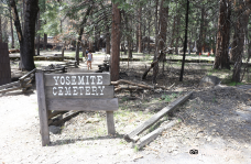 Yosemite Cemetery-瓦沃纳