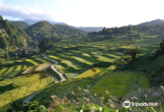 Shikamura Rice Terraces景点图片