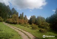 Ufa Botanical Garden景点图片