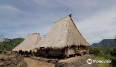 Wologai Traditional Village-英德