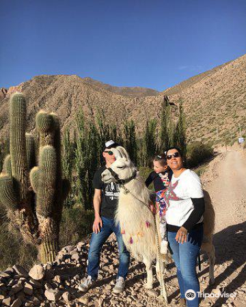 胡阿卡勒拉图片