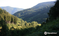 Todtnau Waterfall-托特瑙