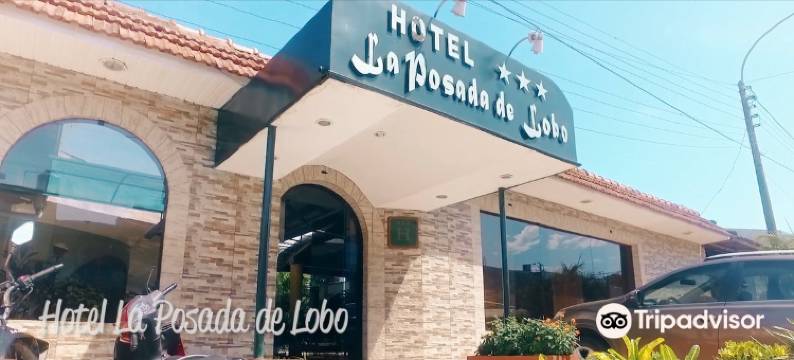 波萨达德路宝套房酒店(La Posada de Lobo Hotel & Suites)图片