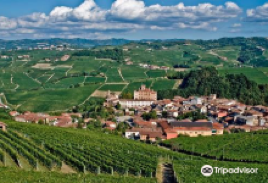Strada del Barolo e Grandi Vini di Langa景点图片