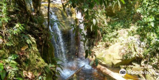 Cachoeira da Neblina-普鲁斯登特菲格雷多