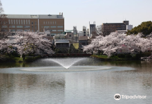 Momogaike Park景点图片