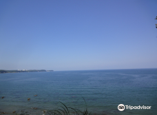 大神ファーム-日出町