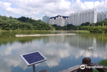 枫岩水池景点图片