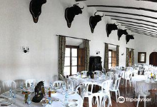 Ganaderia Gavira景点图片