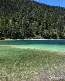 Allison Lake Provincial Park-普林斯顿