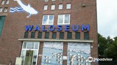 Seehundstation und Waloseum-诺德代希