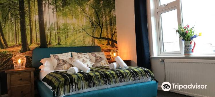 蔻尔尼旭阿尔姆斯旅馆(Cornish Arms Inn Port Isaac 2 Miles)图片